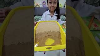 ASIA- Science Investigatory Project - Shoreline Erosion
