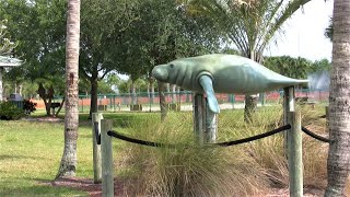 Manatee Sanctuary Park  -  Florida