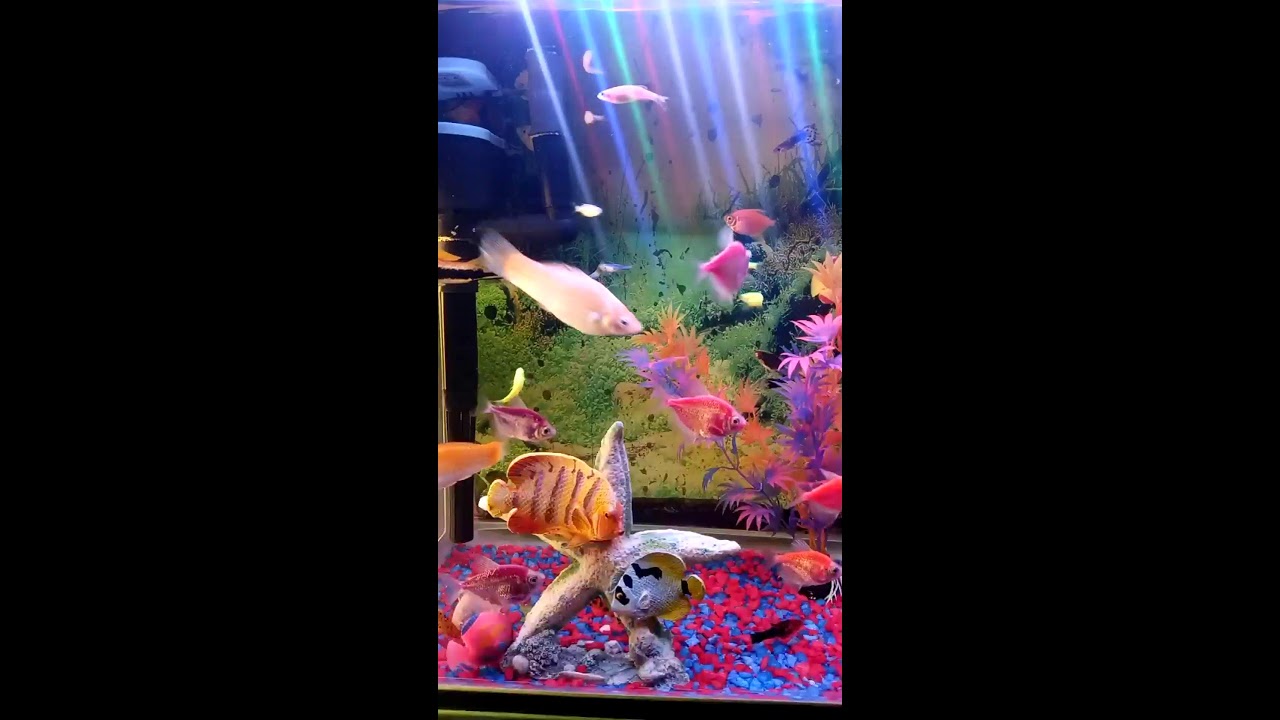 My wonderful beautiful angel who never abandoned me for years catherine 🙏 join ❤️