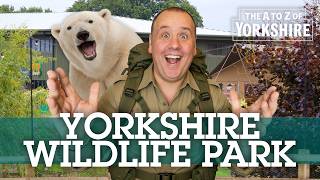 Family Fun at the Amazing YORKSHIRE WILDLIFE PARK | The A to Z of YORKSHIRE