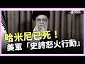哈米尼去世