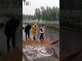 團結才是力量大 團結才是力量大