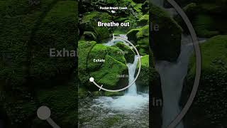 4-7-8 Breathing Method for Anxiety