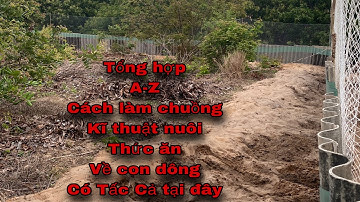 Kĩ Thuật Làm Chuồng  Nuôi Dông Đơn Giản 100% Hiệu Quả, Cách Chăm Sóc Dông Cát