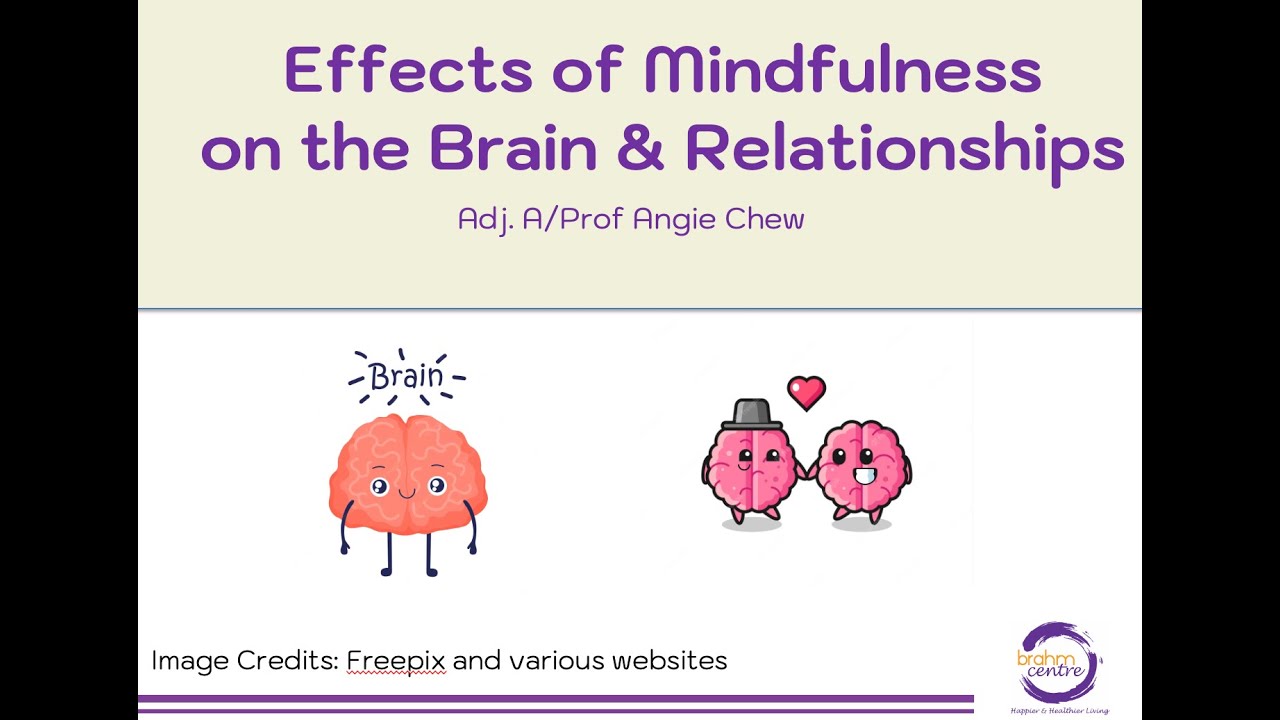 Effects of Mindfulness on the Brain and Relationships - YouTube