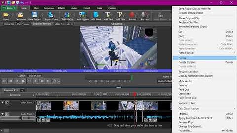 How To Edit Like A Pro On Videopad (Tutorial | Part 1 )