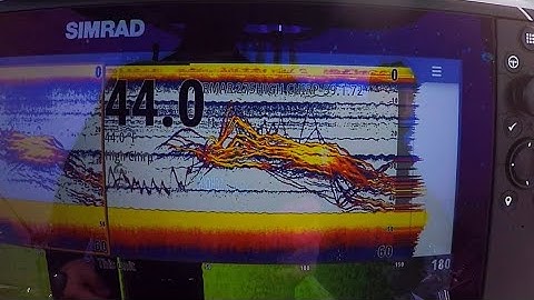 What fish look like on sonar. Airmar 275 High Wide Transducer. Simrad Evo 3 NEW A SCOPE