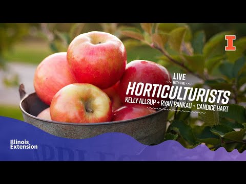 Vídeo: William's Pride Apple Care - Aprenda a cultivar as macieiras do William's Pride