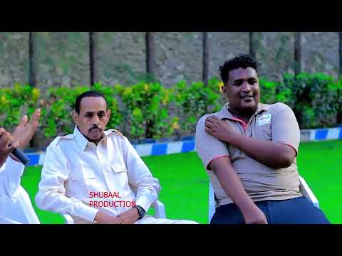 Cabdi wali timo weyne dhaanto cusub saciid sama wade