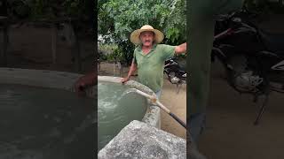 A Riqueza Do Nordeste