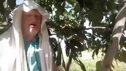 سورة البينة للقارئ عامر جبو كاملا