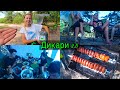 Кемпинг - продолжение 🏕🙃 Что и как мы готовим? Где спим? Тур по палатке