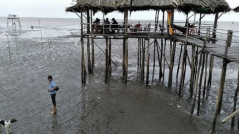 Biển Tân Thành Gò Công Tiền Giang - Du Lịch Miền Tây Rất Đẹp