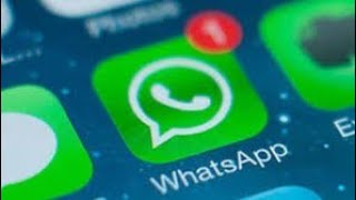 WhatsApp ta renk özelliği yeni güncel nesil sonunda geldi ogeldi o özelik geldi (2020) screenshot 3