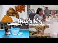 WEEKLY VLOG | Grooming Dog at home, Baby&#39;s First Time In Pool, Trying TikTok Hacks, SAHM Life &amp; More