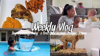 WEEKLY VLOG | Grooming Dog at home, Baby&#39;s First Time In Pool, Trying TikTok Hacks, SAHM Life &amp; More