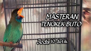 #tengkekbuto #masteran    Masteran Tengkek Buto GACOR Jeda 10Detik