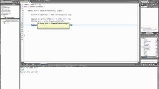 5 - Programmering i Java - Input fra bruker med scanner, og mer bruk av løkker Net Worth