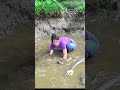 Fishing Technology: Amazing fishing, Catch A Lot Of Fish | Lý Tiểu Duyên