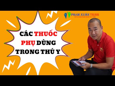Video: Câu Hỏi Bác Sĩ Thú Y Cho Anesthephobes