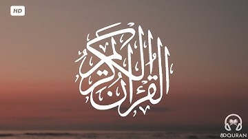 قرآن كريم بصوت الشيخ علي جابر | حالات واتس اب دينية | مقاطع دينية قصيرة