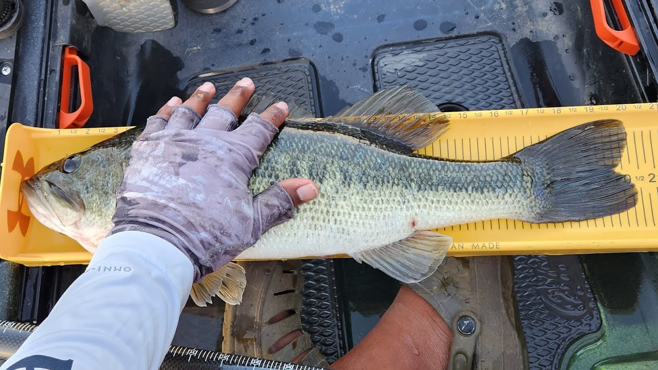 Best Kayak Bass Fishing of 2023 for me!