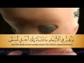 سورة الحج الآية ٥ مع التفسير Surat Alhj Verse 5 سورة الحج الآية ٥ مع التفسير Surat Alhj Verse 5