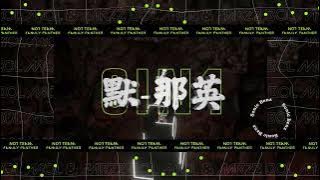 默Mo 那英 Na Ying | 6in1 | - 3Cha Remix 2023 (Sonic Benz)