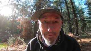 AUSSIE GOLD HUNTER CLEANS UP THE BREAD AND BUTTER NUGGET PATCH  WITH THE GPX 6000 (Episode 203)