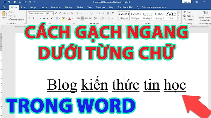 Cách định dạng văn bản có nhiều dòng gạch ngang năm 2024