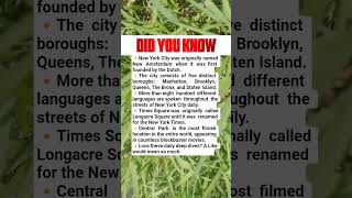 NYC facts that sound completely unreal.