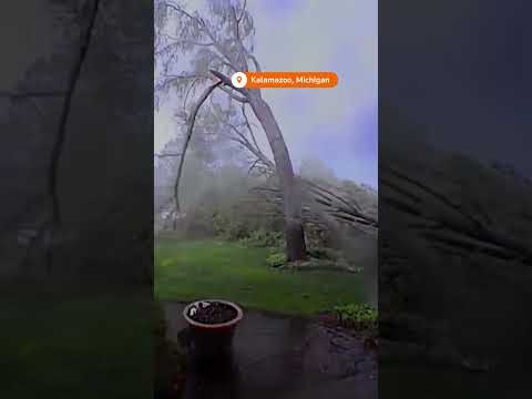 Doorbell camera shows tornado winds downing trees in Michigan | REUTERS
