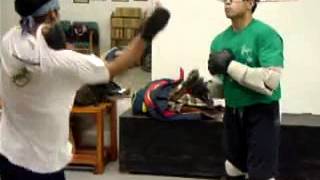 Wing Chun Aplicado Mp2 1