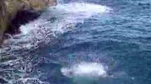 Jed jumping Laie Point