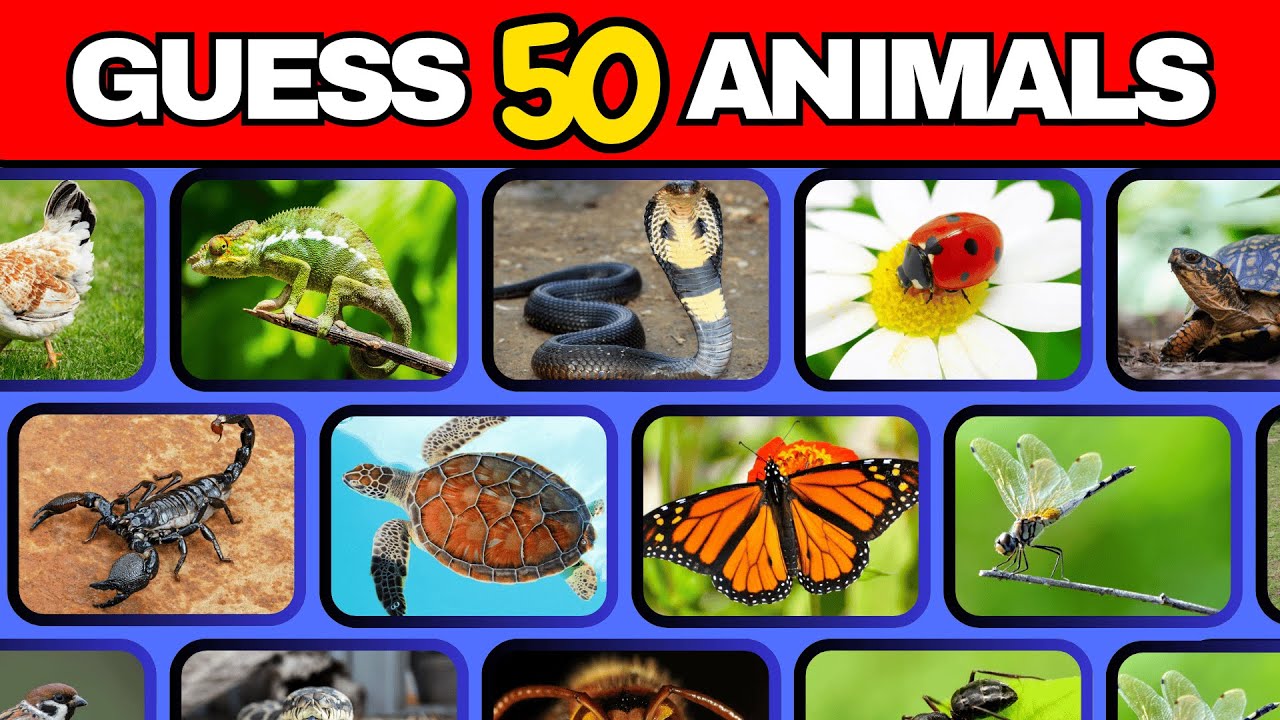Guess 50 Animals – Part 4 🦊🐋 | Final Animal Quiz Challenge | Can You ...