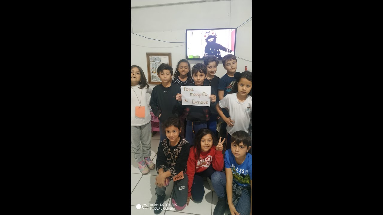 A juba do leão Geraldo