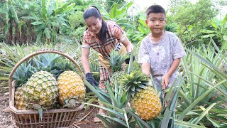 Seyhak and Mom harvest pineapple to make food for dinner - Family food cooking