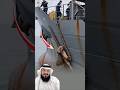 كل يوم قد يحمل لك عجب ا جديد ا إن كنت ترى جيد ا اكسبلور لايك اقتباسات  