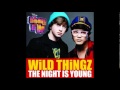 Wild Thingz - The Night is Young (Music Only)