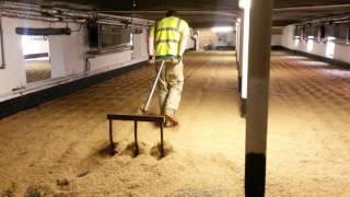 Ploughing Maris Otter Malt at Warminster Maltings