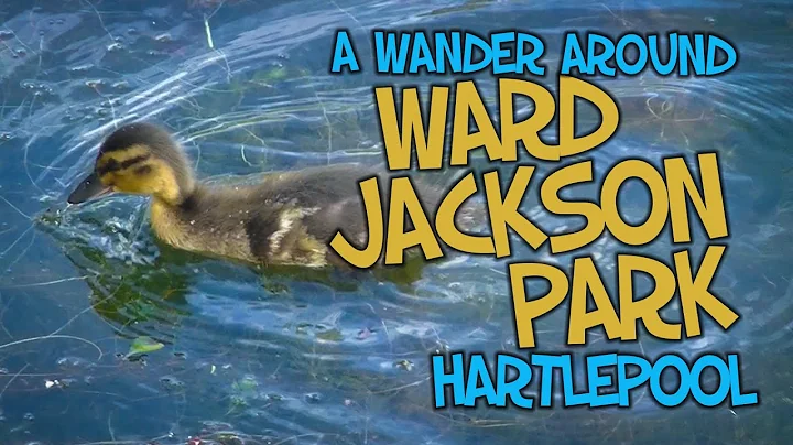A relaxing walk around Ward Jackson Park | Hartlep...