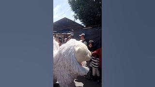 can macanan di pukulin karna mau makan bocil ff