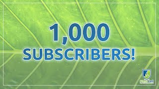 PCT 1,000 Subscriber Giveaway!