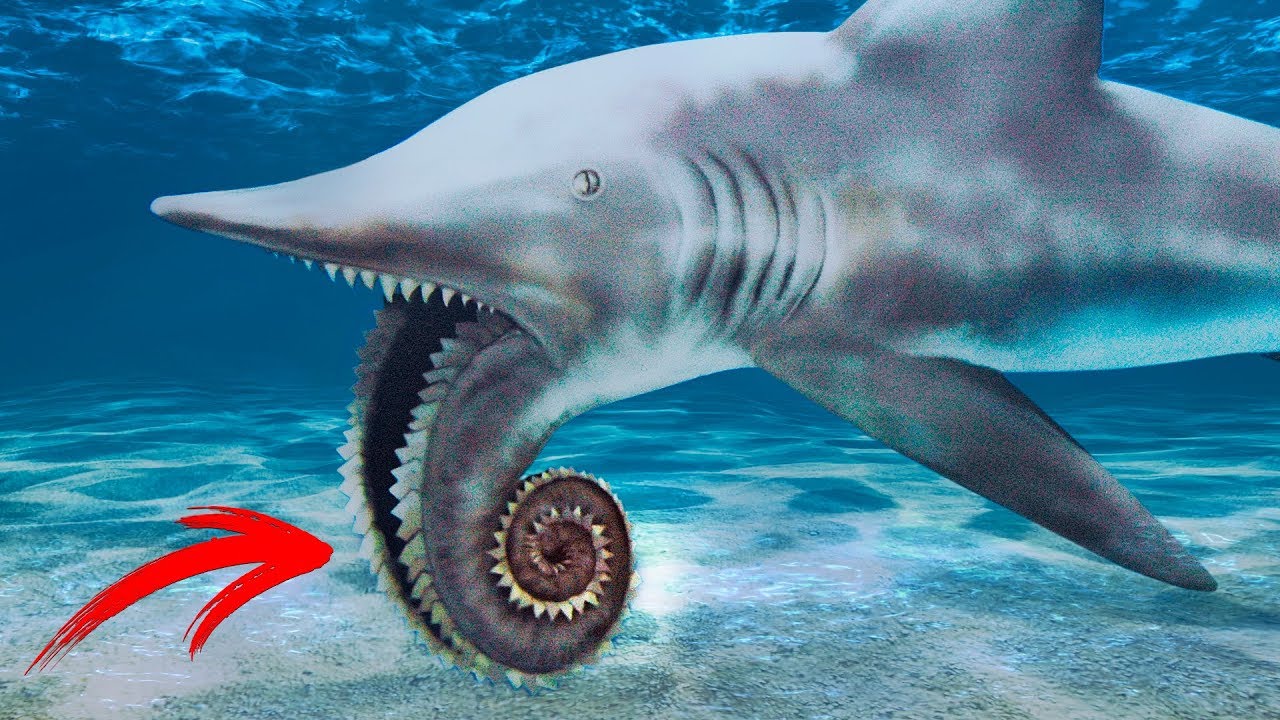 Animais Extintos Do Mar - BINKEDU