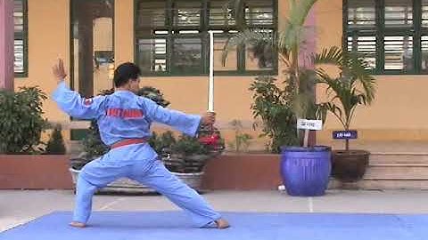 TINH HOA LƯỠNG NGHI KIẾM PHÁT (Nguyễn Hồng Quì)