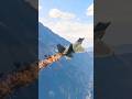 USA F-22 jet mid air Crisis Engine Flameout #USAの#F22 エンジン火災 空中危機を乗り越える技術
