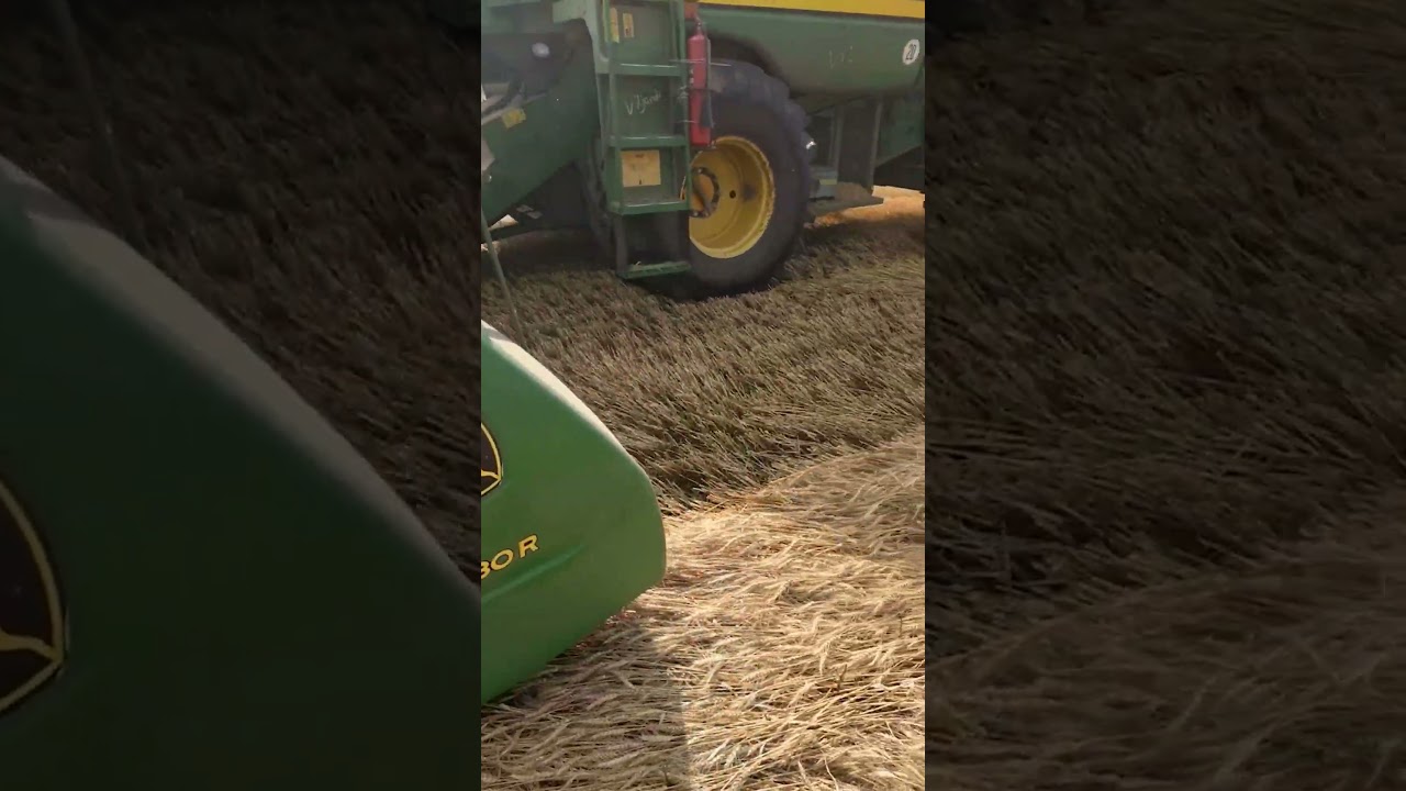 Successful Harvest of Lodged Cereal Crop