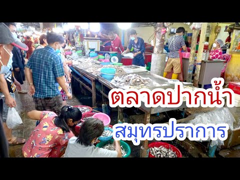 Market🇹🇭ตลาดปากน้ำสมุทรปราการอาหารทะเลสดใหม่ราคาไม่แพง Seafood and freshwater fish