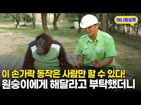 이 동작은 사람만 할 수 있다고?! 그래서 저희가 실험해봤습니다ㅣKBS 스펀지 110930 방송