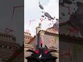 #kick #streamer #gaming #twitch #valorant #valoranttr #valorantclips #sova #lineup #shorts #short